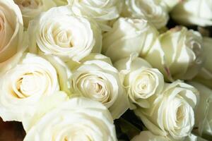 A bouquet of flowers in close-up photo