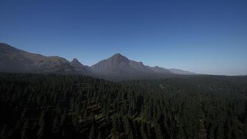 An aerial view of a forest with mountains in the background video