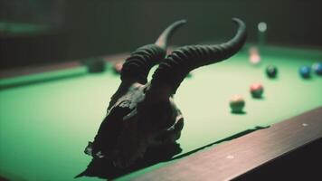 An animal skull is on a pool table video