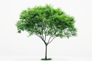 ai generado aislado árbol es situado en un blanco antecedentes foto