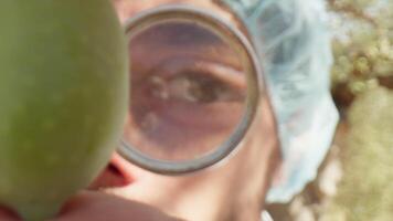 Agronomist analyzing an healthy olive with magnifying lens video