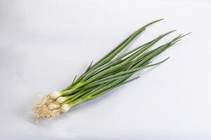 Young aroma fresh green onion photo