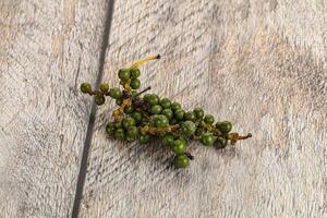 Green pepper corn heap isolated photo