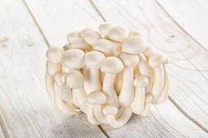 Japanese Shimeji mushroom for cooking photo