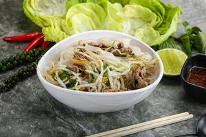 vietnamita tradicional sopa pho bo con carne de vaca foto