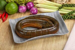 Fresh raw uncooked eel for grill photo