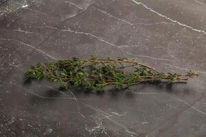 tomillo - aromático Condimento herbario planta foto