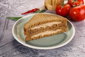 Club sandwich with Tuna fish photo