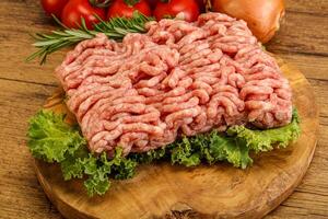 Raw pork minced meat over board photo