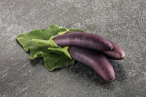 Raw ripe organic eggplant with leaf photo