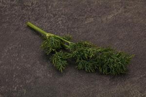 Aroma seasoning - Green Dill branch photo