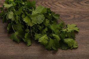 Green coriander or cilanto leaves heap photo