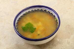 Tasty chicken soup with carrot photo