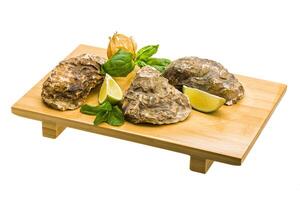 Fresh oyster over board photo