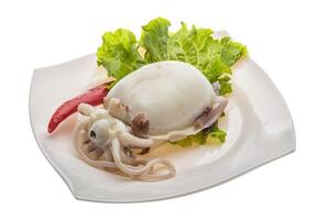 Boiled cuttlefish in the bowl photo