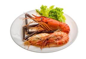 Giant Freshwater Prawn and king prawns photo