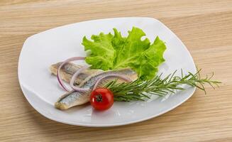 Herring fillet in the plate photo