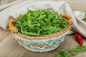 Ruccola in the plate photo