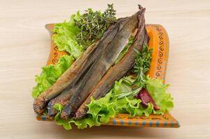 Lamprey in the plate photo