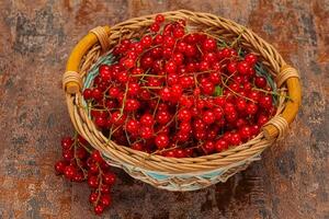 Sweet tasty fresh Red currant photo