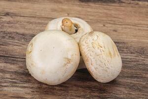 Raw Champignon heap for cooking photo