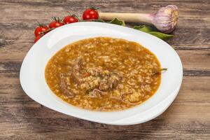 Caucasian Kharcho soup with beef meat photo