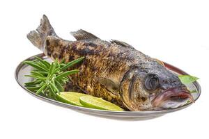 Roasted seabass fish photo