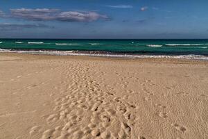 Scene at mediterranean beach resort in Tunisia. photo