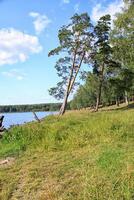 verano paisaje. ural montañas río foto