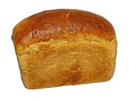 loaf of whole rye bread isolated photo