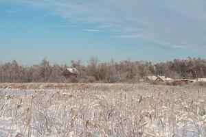 Winter on lake photo