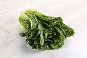 Green fresh juicy Romano salad photo