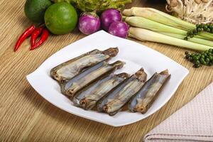 Raw fresh Razor clam mollusk photo