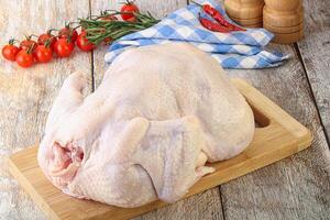 Whole raw chicken for cooking photo