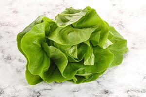 Salad leaves heap for snack photo