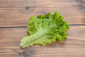 Ripe green salad lettuce leaf photo