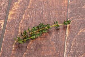 Aroma seasoning thyme stem with leaves photo