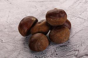 Tasty delicous brown natural Chestnut photo