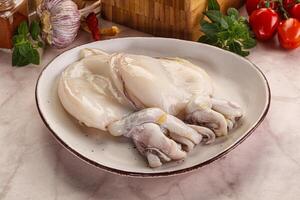 Raw fresh cuttlefish for cooking photo