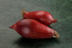 Violet raw onion for cooking photo