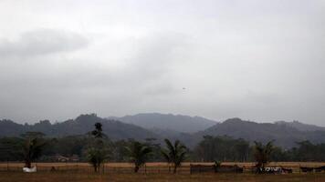 View of hills covered in mist from a field photo