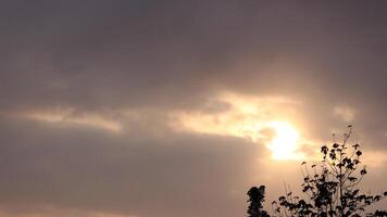 View of the evening sky on the volleyball court photo