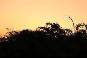 Sunset view from the street with silhouettes of trees photo