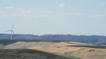 vind turbiner energi på solig dag på de horisont video