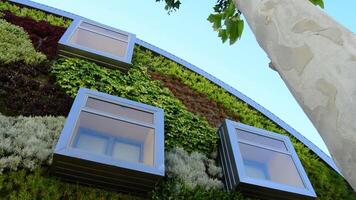 panorama- av Fasad av modern byggnad med fönster och vegetation väggar. video