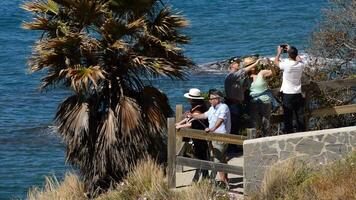 Benalmadena, Spain, 2018 - Tourists on a gazebo by the sea on a sunny day video