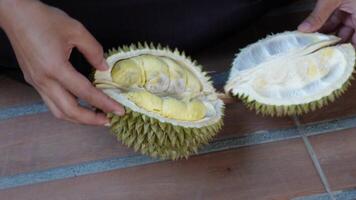 a mulher fatias aberto uma durian em a chão dentro 4k. video