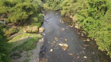 aéreo ver de ciliwung río en Oeste Java, Indonesia video