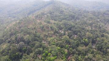 Aerial view of of Kulon Progo surrounded by green forest trees in a clear sky in Yogyakarta, Indonesia. video