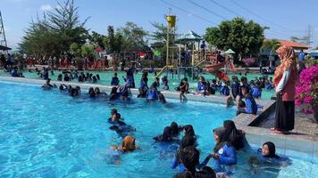 feliz crianças natação dentro piscina juntos video